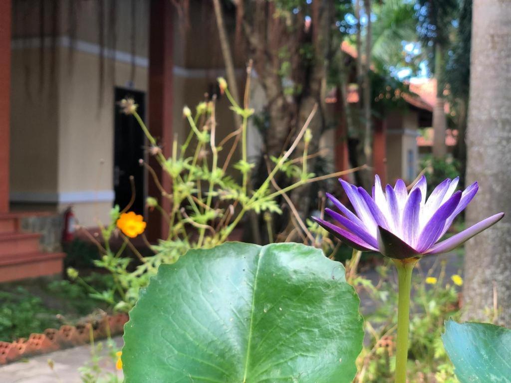 Castaways Resort Phu Quoc Bagian luar foto